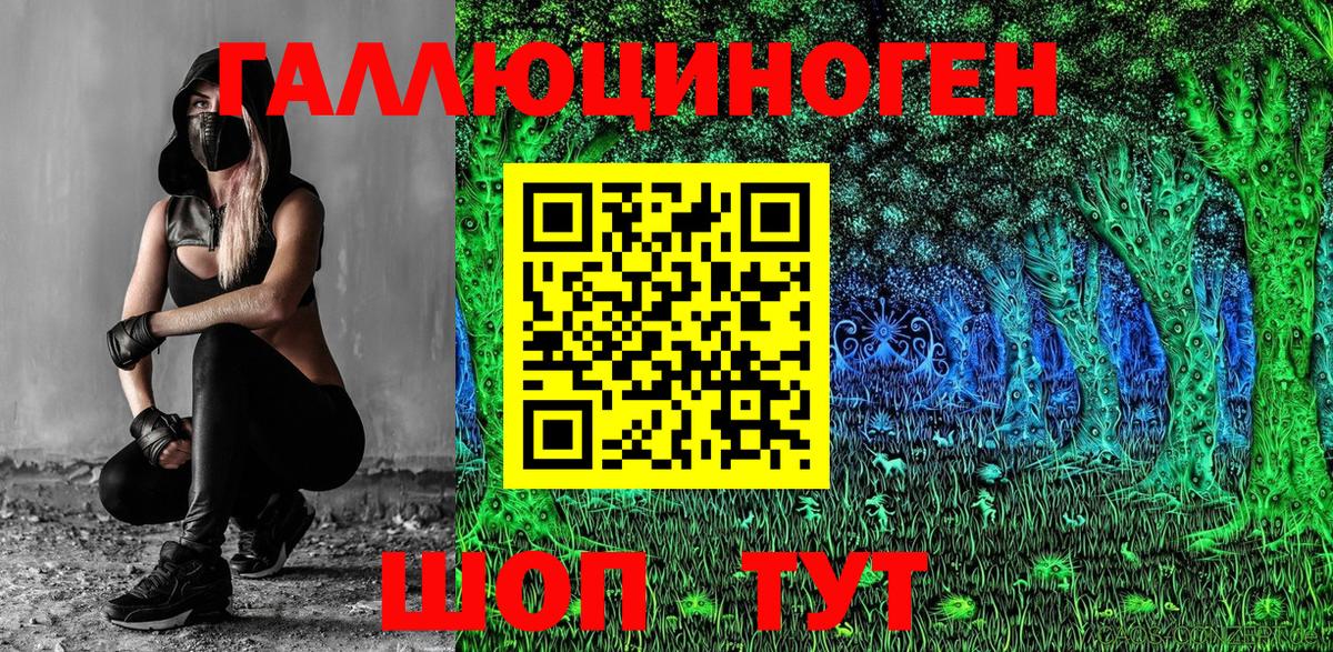 Галлюциногенные грибы мухоморы Усть-Джегута