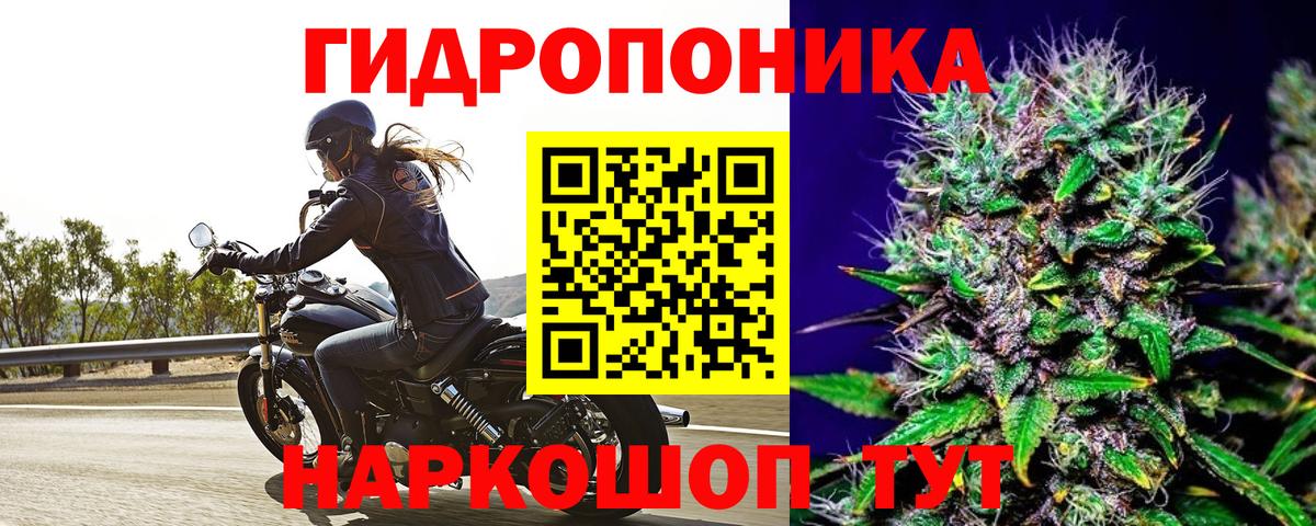 Каннабис Amnesia Усть-Джегута